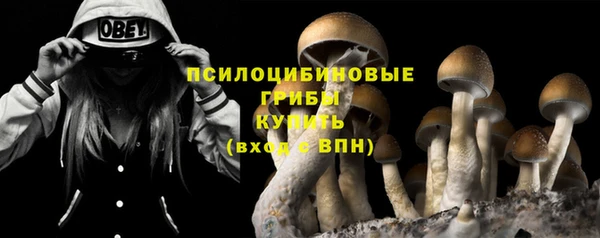 spice Баксан