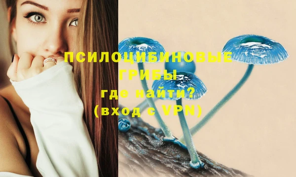 mdpv Арсеньев